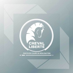 Jeu d'autocollants universel kit complet DEBON