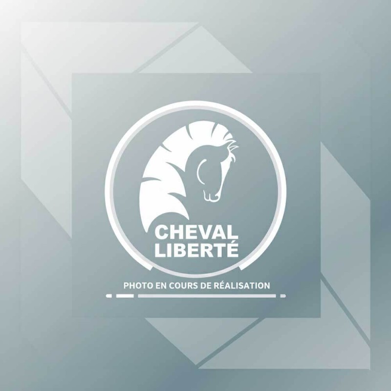 Jeu d'autocollants universel kit complet DEBON