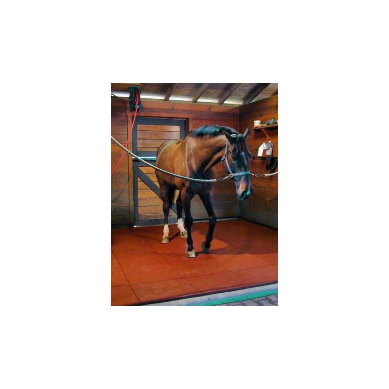 Dalle non drainante noire 30mm  Dimensions : 500 x 1000mm