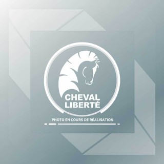 Bras de suspension Pullman 2 pour C2000 avant droit 900kg