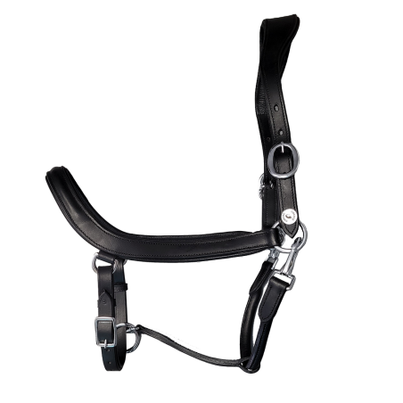 Licol en cuir noir Cheval liberté