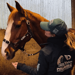 Licol Polaire Cheval liberté taille Full avec longe