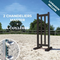 Lot de 2 chandeliers Master + 4 cuillères